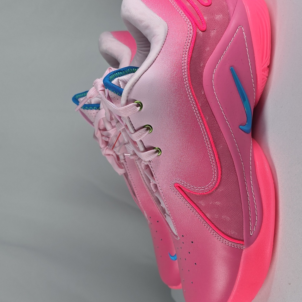 Nike LeBron XXII SN Pink and Blue Sneakers